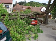 Kwikfynd Tree Cutting Services
mountdandenong