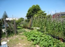 Kwikfynd Vegetable Gardens
mountdandenong